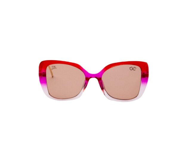 Colored Butterfly Sunglasses