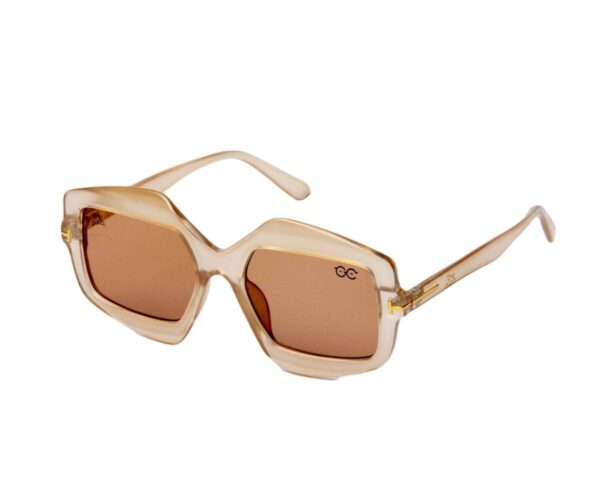 Plastic Hexagonal Sunglasses