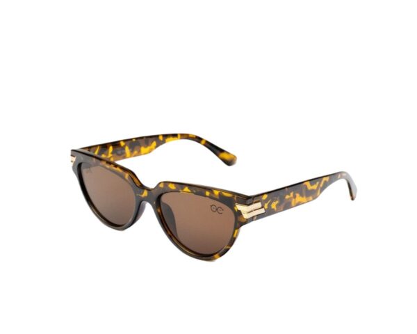Ray-Ban Wayfarer Sunglasses