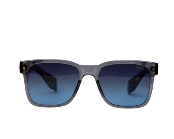 Classic Wayfarers Sunglasses