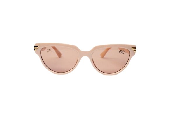 Wayfarer Oval Sunglasses