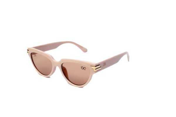 Wayfarer Sunglasses
