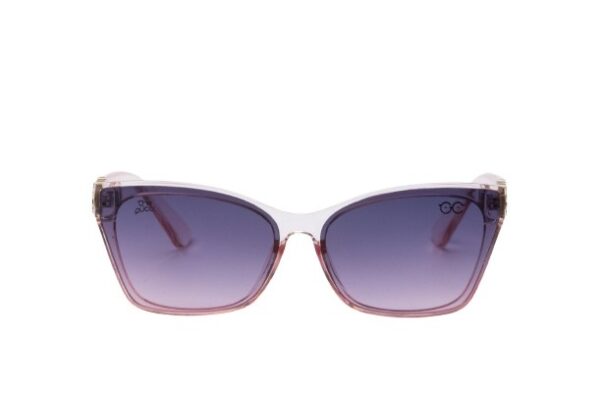 Retro Wayfarer Sunglasses