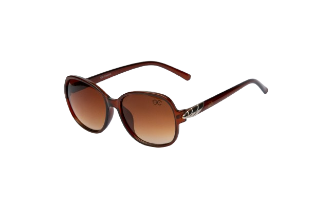 Oversized Oval Sunglasses